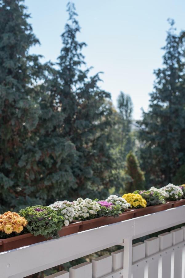Nefelejcs Vendeghaz Hotel Toalmas Екстериор снимка