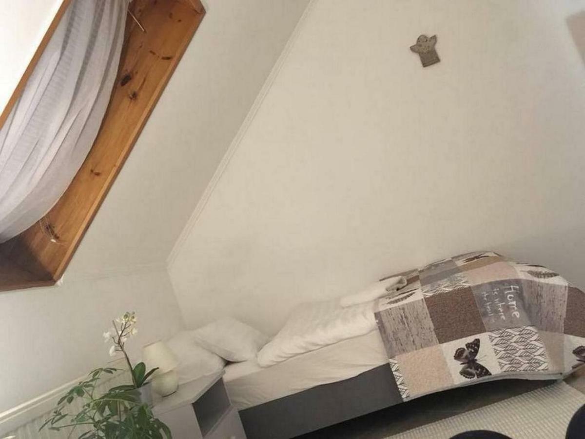 Nefelejcs Vendeghaz Hotel Toalmas Екстериор снимка